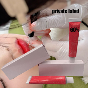 Crema para Tatuajes de Marca Privada, Accesorios de Maquillaje Permanente, Plantillas para Arte Corporal, Maniquí de Práctica, Servicio de Logotipo Personalizado - Product Image 2