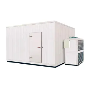 Hello River Refrigerated Container Ice Storage Freezer Cold Room Commercial Flower Brand 20 Ft Swing Provided Sustainable 200