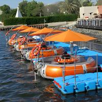 Moteur électrique 6-8 sièges Barbecue Boat 2.5 mètres BBQ Donut Boat