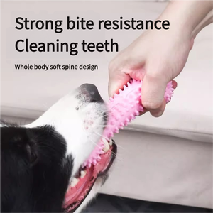 Spazzolino da denti interattivo multicolore per cani giocattolo da masticare resistente a forma di osso di animale domestico masticatore aggressivo a colori casuali invia - Product Image 3