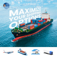 Transitario de China a UE/EE. UU. | Alemania, Francia, Italia, España | Transporte aéreo marítimo | LCL DDP | Puerta a puerta