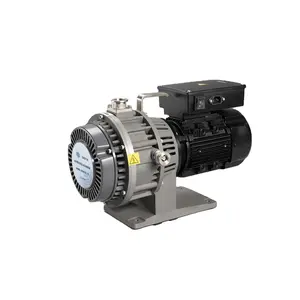 GWSP150 Low Pressure Vacuum Pump