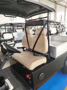 Carrito de Golf Eléctrico de 2 Plazas con Caja de Carga de Aluminio y Enganche de Remolque Reforzado - Product Image 6