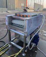 Laveuse de canne à sucre en acier inoxydable / Machine automatique de nettoyage et de pelage de canne à sucre pour usine de jus