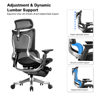 Chaise de bureau ergonomique à dossier haut en maille avec accoudoirs 5D, repose-pieds réglable et soutien lombaire, chaise de direction pour bureau à domicile