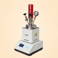 Réacteur haute pression de laboratoire personnalisable en acier inoxydable 316L, 12,5 MPa, 20-300 ℃   Autoclave agitateur avec condenseur, garantie 1 an, certifié GB/T