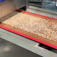 OEM multifunctionele magnetron droger voor voederverwerking, sterilisatie en droging van dierenvoer