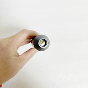 रेक्टर 5w एलईडी लैंप के साथ या उसके बिना कोरियन पोर्टेबल कोल्ड लाइट स्रोत - Product Image 3