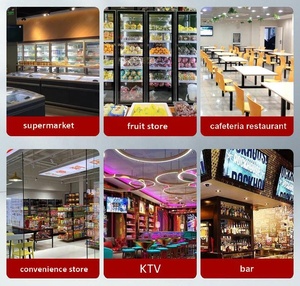 Congélateur vertical professionnel à double porte pour bars et magasins de proximité, avec moteur et maintien au frais pour la bière - Product Image 3