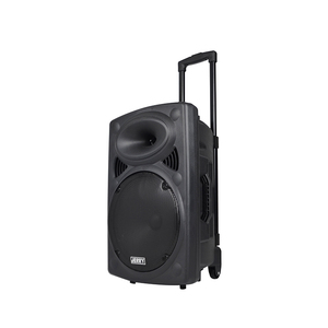 Siêu chất lượng 12 inch xe đẩy loa với microphone và dài giờ làm việc 100 wát - Product Image 2