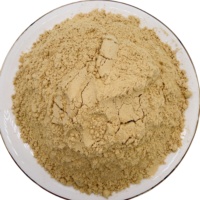Poudre de gingembre moulu de qualité alimentaire, sans additifs, vente en gros en vrac pour la cuisine et l'assaisonnement
