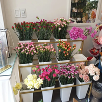 Présentoirs de fleurs en métal chaud Magasins de détail Fleuristes Centres commerciaux Stands de fleurs
