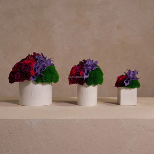Su misura a forma di cupola fatto a mano reale naturale eterno Bouquet rosa conservato fiori <span class=keywords><strong>in</strong></span> <span class=keywords><strong>vaso</strong></span> di ceramica - Product Image 6