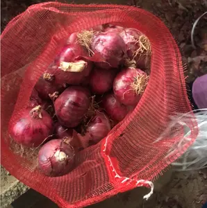 Spicy Fragrant Onions Red Factory Offer Fresh Onion Low Price