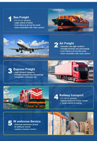 Mejor Servicio DDP, Agente de Envío Marítimo y Aéreo, DHL, UPS Express, de China a EE. UU., Canadá, Reino Unido, Francia, España, México, Transitario Logístico