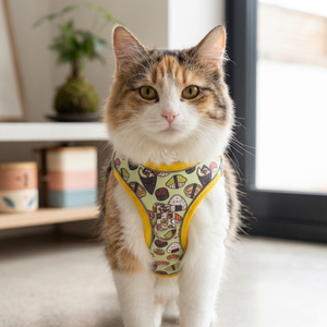 Harnais pour chien et chat en polyester rembourré classique personnalisé, harnais à enfiler pour petits chiens et chats - Product Image 1
