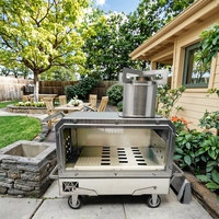 Table de camping extérieure en acier inoxydable avec plaque en verre pour cuisinière et grilles à bois/charbon de bois