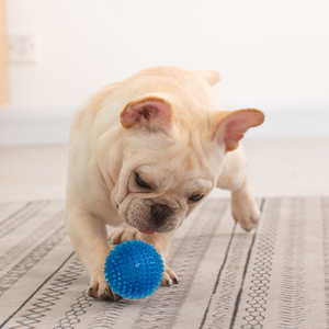 <span class=keywords><strong>Palla</strong></span> Rimbalzante per Addestramento Cani, Resistente ai Morsi, in TPR, con Fischietto Integrato, Morbida e Appuntita, Giocattolo Divertente per Cani e Animali Domestici - Product Image 6