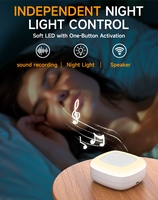 Lampe LED portable pour la maison, avec contrôle par interrupteur, veilleuse carrée à bruit blanc pour bébé, DC 5V, pour haut-parleur USB, mini, moderne, pour chambre à coucher, en ABS, colorée