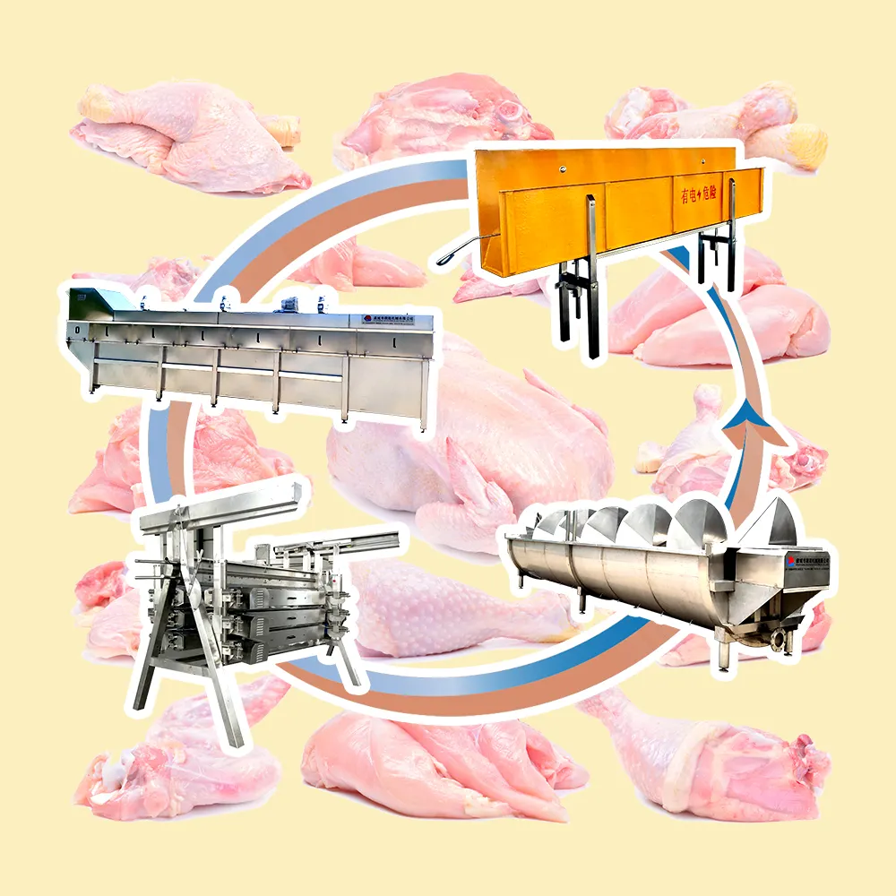 automatic halal poultry slaughterhouse equipement chicken killing cones abattoir volaille for sale