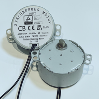 Micro moteur synchrone 50TYZ TDY50 TDY49