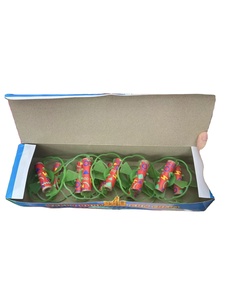 <span class=keywords><strong>Precio</strong></span> de Fábrica W608 Juguete Giratorio de Crisantemo Colorido con Efectos Pirotécnicos para el Mercado Africano - Product Image 5