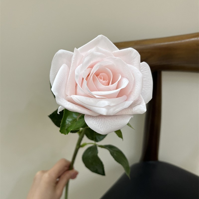 Rosa chiaro