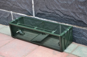 Solido quadrato giardino roditore trappole per uso interno/esterno dal vivo Mouse e gabbia per ratti <span class=keywords><strong>Design</strong></span> solido per il controllo dei parassiti delle dimensioni del foglio - Product Image 5