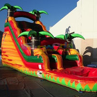 Toboggan gonflable commercial de palmier maison de rebond cavalier gonflable enfants gonflables toboggan aquatique gonflable pour enfants en plein air avec vente de piscine