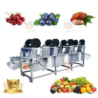 Volautomatische Aangepaste Voedsel Groente Fruit Tomaat Spinazie Droger Was En Lucht Drogen Machine