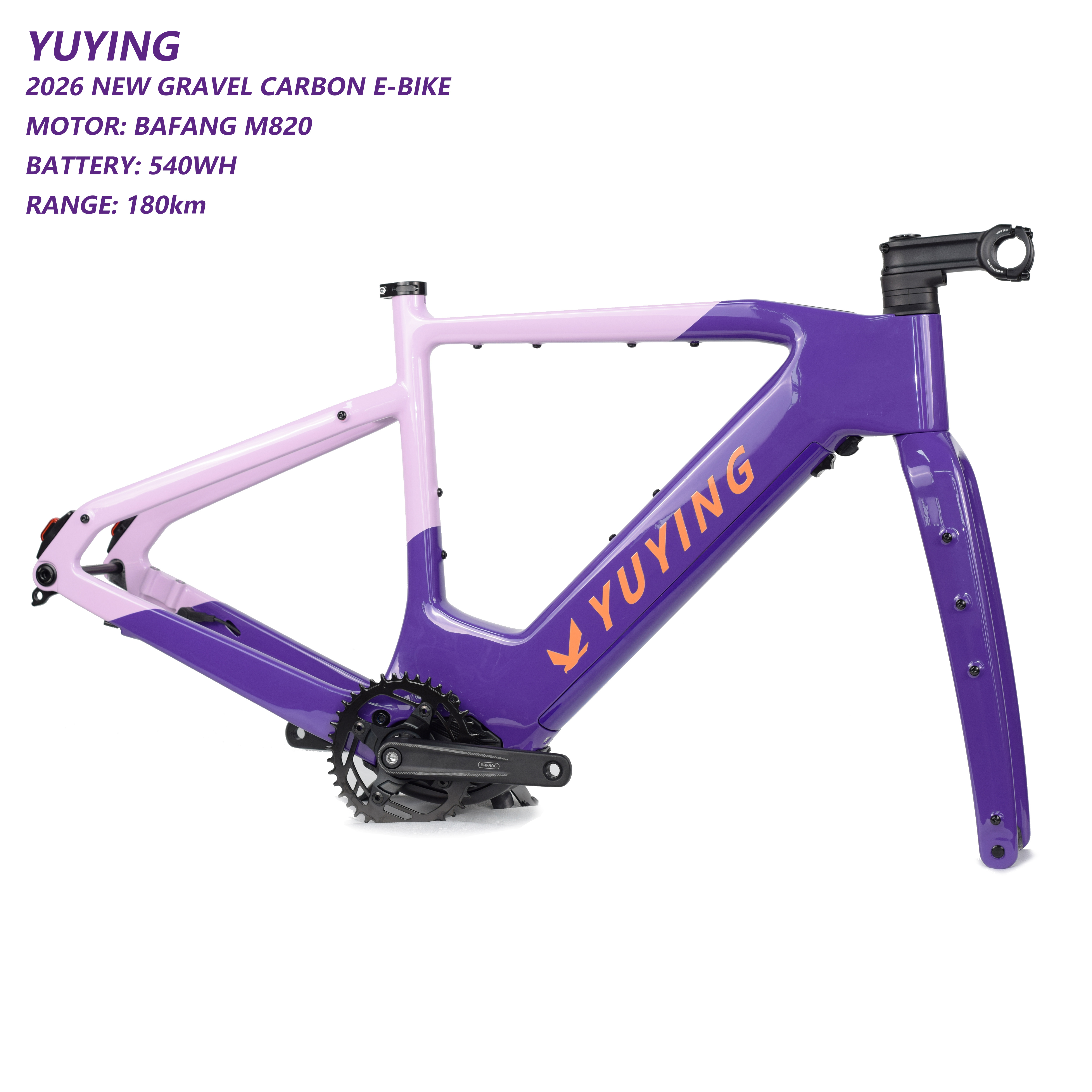 Viola