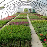 Serres agricoles professionnelles Tunnel en plastique pour fermes de tomates Kit complet de serre avec système d'irrigation