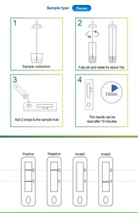 LYZ H. Pylori 최저가 고정밀 검출 신속 테스트 키트 H. Pylori 항원 신속 테스트 키트 - Product Image 3