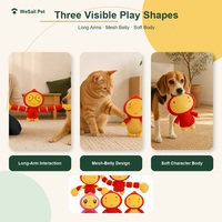 Jouet d'entraînement pour chiot Qimin, durable, résistant aux morsures, couineur, personnage de dessin animé Teddy pour Golden Retriever, Bichon Frisé, Husky et autres races
