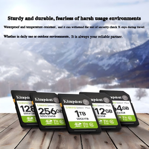 100% Authentic <b>Card</b> SDS3 64G/128G/256G/512G/1TB <b>Memory</b> <b>Card</b> Memoria for HD 1080p and 4K Video SDS3 <b>Card</b> Video Camera Memor - Product Image 6