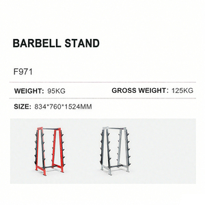 Precio de Fábrica al por Mayor: Soporte para Mancuernas y Pesas para Fitness en Casa WD-F971 - Tu Entrega de Fitness Confiable - Product Image 4