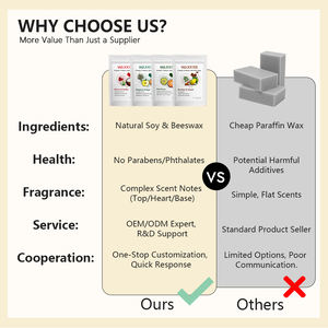 Pastilles de cire naturelle pour chauffe-cire électrique, biodégradables et à combustion propre, support OEM avec développement de moules - Product Image 3