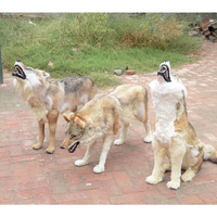 Statue de loup réaliste sur mesure grandeur nature |   Modèle d'animal réaliste en fourrure faite à la main pour les expositions sur la faune, les parcs à thème et les accessoires de cinéma