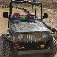 Buggy de plage 200cc, espace spacieux, design multi-places, buggy des dunes pour les zones panoramiques, le team building et les loisirs