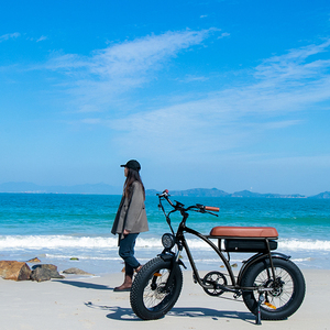 Vélo électrique de style <span class=keywords><strong>moto</strong></span> 2022 <span class=keywords><strong>Super</strong></span> 48v 350w/500w <span class=keywords><strong>73</strong></span> Fat Tire E Bike Vélo électronique - Product Image 3
