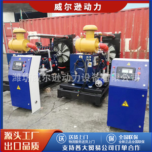 Grupo electrógeno de biogás Weifang de 120kW 380V 400V para uso en fábricas y granjas - Product Image 4