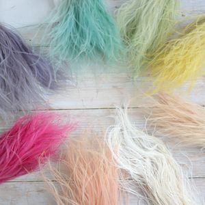 PPL41 Long Stipa 2024 Préservé Pierre Herbe En Gros De Mariage Décoration Fleur Matériel Objets Décoratifs Préservé Fleur - Product Image 3