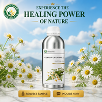 Huile Essentielle de Camomille Allemande (Matricaria Chamomilla) pour Parfumerie Fine, Note de Cœur Végétale pour Senteurs de Luxe