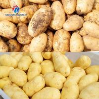 Machine à éplucher les pommes de terre entièrement automatique, machine à râper les pommes de terre, les carottes et le manioc, machine à laver et à éplucher