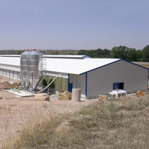 Giá Rẻ Sơn Đông Trứng Gà Coop <span class=keywords><strong>Prefab</strong></span> 1000m2 Lớn Khoảng Gia Cầm Nhà Bò Sữa Gia Súc Nhà Thép Cấu Trúc Cho Gà Trang Trại - Product Image 2