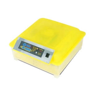 Incubadora de Ovos Profissional Mini Solar HHD Totalmente Automática para 48 Ovos à Venda - Product Image 6