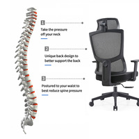 Chaise de bureau ergonomique réglable en maille avec base chromée, accoudoirs fixes et siège coulissant