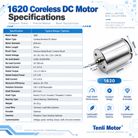 Moteur CC sans balais sans noyau OEM 1620 16x20mm 12V 6V haute vitesse 30000 tr/min longue durée de vie pour équipement médical
