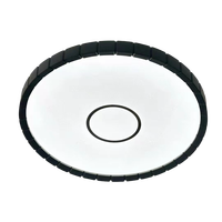 Dimmable Remote Led Plafonniers Ultra Mince Plafonnier Intérieur Salon Rond Led Lumière Plafond