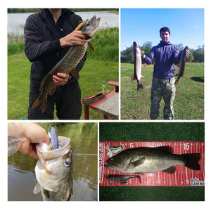 Spinpoler Swimbait queue de pagaie appât souple leurre de pêche <span class=keywords><strong>gros</strong></span> <span class=keywords><strong>brochet</strong></span> alose 16cm artificiel Pesca plastique plastique poisson Wobbler attirail - Product Image 6